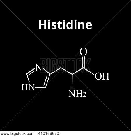 Amino Acid Histidine. Chemical Molecular Formula Histidine Amino Acid. Vector Illustration On Isolat