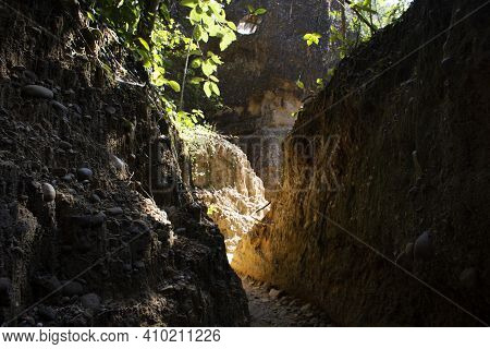 Pathway In Jungle For Thai People And Foreign Walking And Trekking Travel Visit Pha Chor Canyon Clif