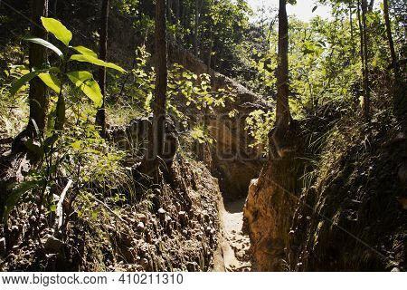 Pathway In Jungle For Thai People And Foreign Walking And Trekking Travel Visit Pha Chor Canyon Clif
