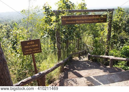 Stairs Pathway In Jungle For Thai People And Foreign Walking Go To Travel Visit Pha Chor Canyon Clif