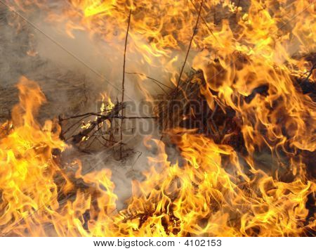 Feuer