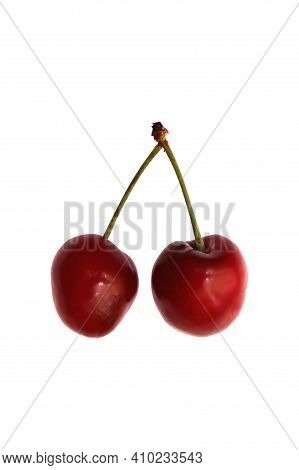 Fresh Isolated Double Cherries. Sweet Red Healthy Vitamin Berry.