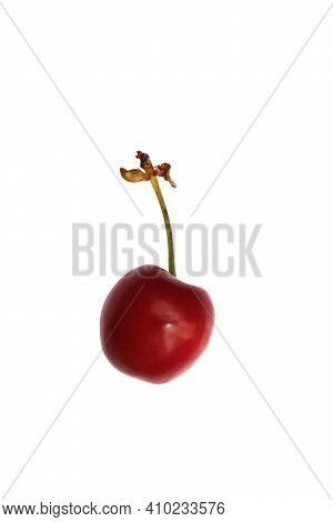 Fresh Isolated Cherries. Sweet Red Healthy Vitamin Berry.