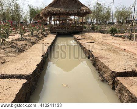 Kampong Spue, Cambodia, February 28,2021: Bamboo Shoots On The Stream, Sitting And Feeling Cool.