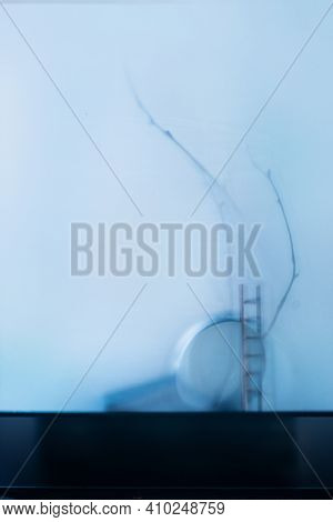 Tiny Ladder, Tree Branch, And A Magnifying Glass In Cold Tones, Mystery Novel Concept