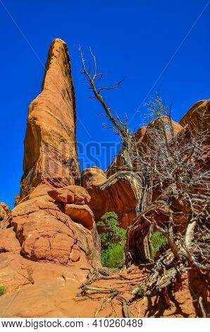 Eroded Landscape, Arches National Park, Moab, Utah, Us
