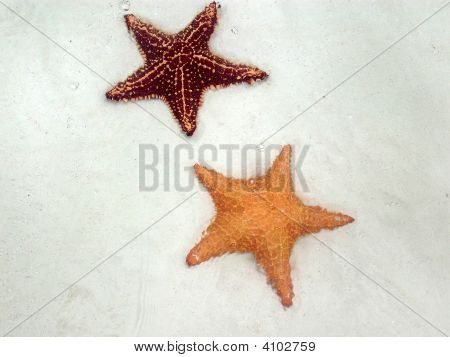 Stelle