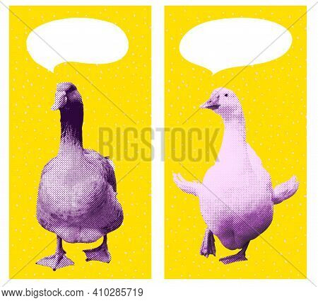 Set Of Goose And Speech Bubble Background For Social Media Vertical Posts. Copy Space For Text. Web 