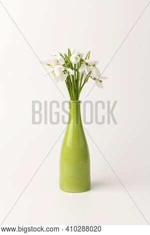 Snowdrop  In The Green Vase. White Springs Flower In Close-up With Copy Space. Concept Of Early Spri