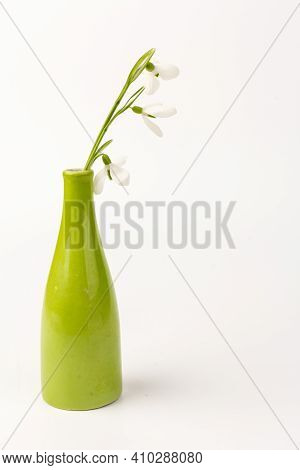 Snowdrop  In The Green Vase. White Springs Flower In Close-up With Copy Space. Concept Of Early Spri