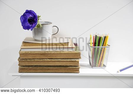 One Blue Anemone In A Cup In The Style Of The Seventies On The Table With Books As An Interior Decor