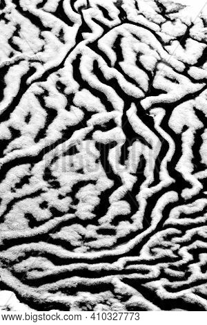 Melted Ice Texture Background. Black And White Blurred, Creative Shot Of Icy Snow Structure That Loo