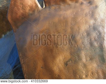 Metal Bronze Textured Plate. Bronze Or Copper Polished Surface With Dents, Scratches And Indentation