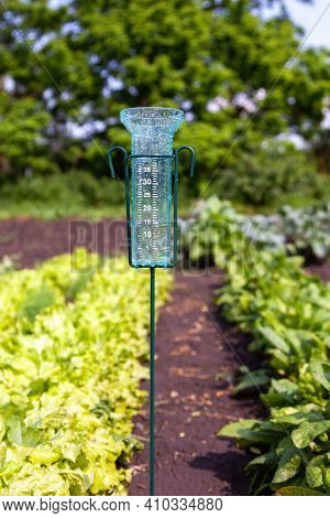 Meteorology With Rain Gauge In Garden After The Rain