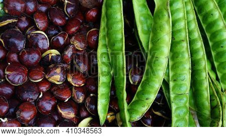 Archidendron Jiringa Seed (jering) And Stink Bean Or Parkia Speciosa