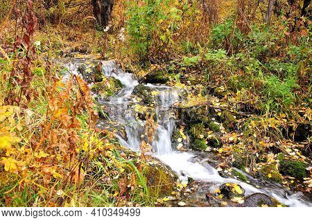 A Small Stormy Stream Flowing Down From The Mountain Through The Autumn Forest.