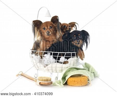Russkiy Toys In Front Of White Background