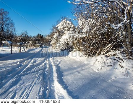 View Of Trees And Branches Covered With Snow Leaning Over A Road Covered With Snow And Car Tracks