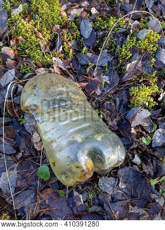 Discarded And Abandoned 5 Litre Plastic Bottle Overgrown With Green Moss On The Autumn Forest Ground