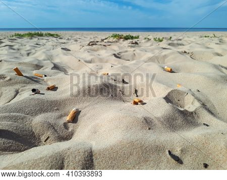 Cigarette Butts In The White Sand On Baltic Sea Beach With Water In Background