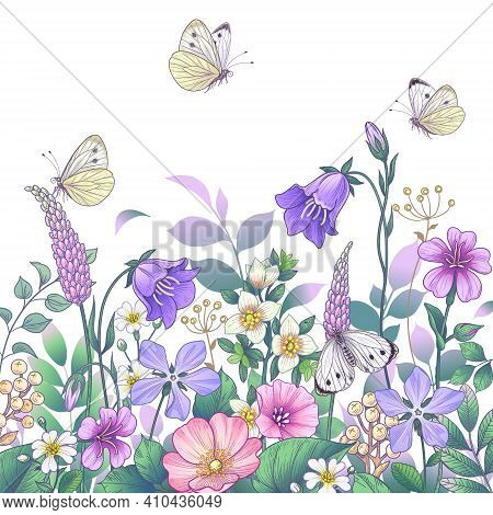 Hand Drawn Blooming Pink And Purple Meadow Flowers And Butterflies On White Background. Vector Elega