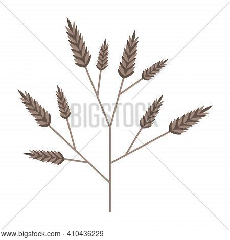 Simple Minimalistic Branch Of Cereal Grain Plant. Beige Stem With Inflorescences Spikelets. Nature C
