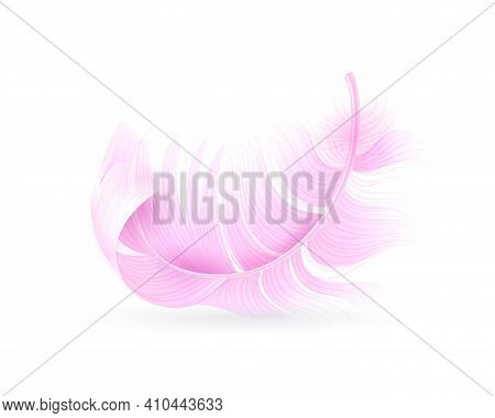 Pink Feather. Exotic Bird, Flamingo Or Parrot Realistic Flying Fluff, Bird Soft Bright Falling Twirl