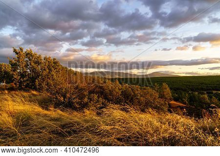 Sunset Landscape In The Field, Trees, Red Earth And Sky With Big Clouds In Blue And Orange Tones Of 