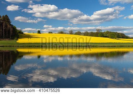 Field Of Rapeseed, Canola Or Colza In Latin Brassica Napus, Rape Seed Is Plant For Green Energy And 
