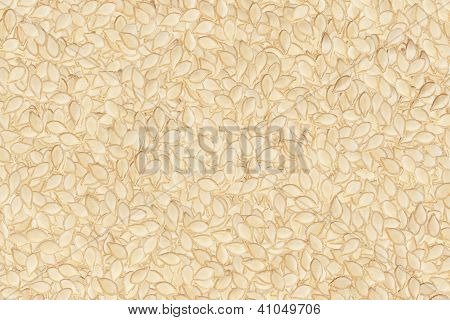 Graines de citrouille fond