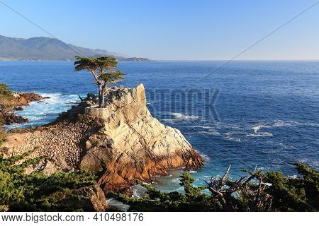 Monterey, California - April 7, 2014: Lone Cypress Tree View Along Famous 17 Mile Drive In Monterey.