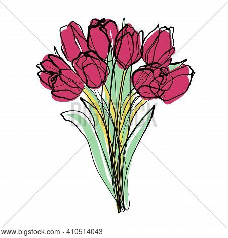 Tulips Bouquet Illustration, Bloom Vector Sketch, Doodle. Flowers One Continuous Line Drawing, Color