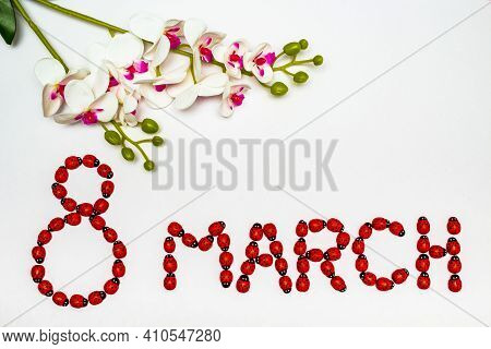Ladybugs On A White Background That Move To Make The A Word March 8 With A Flower On Top Of The Back