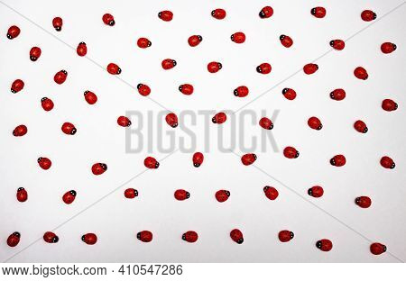 Ladybugs On A White Background Moving Chaotically.