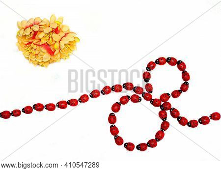 Ladybugs On A White Background That Move To Make The Number 8 With A Flower On Top Of The Background