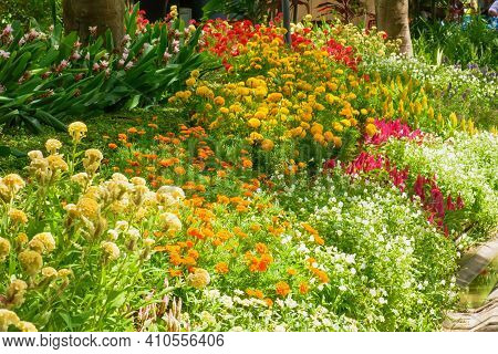 Flowers Are Beautiful And Refreshing