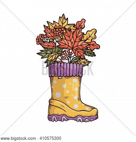 Rubber Boot With Autumn Leaves And Berries Drawing, Wellington Shoes