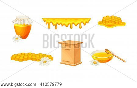 Honey Omb With Hexagonal Wax Cells And Glass Jar Poured With Honey Vector Set