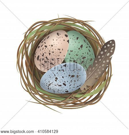 Natural Colored Easter Eggs, Feather In The Quail Nest In Realistic Style. Top Wiew. Vector Illustra