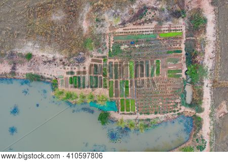 Aerial Top View Of Garden Park Range Of Plants, Trees, Rocks, Red Soil And Nature Green Environmenta