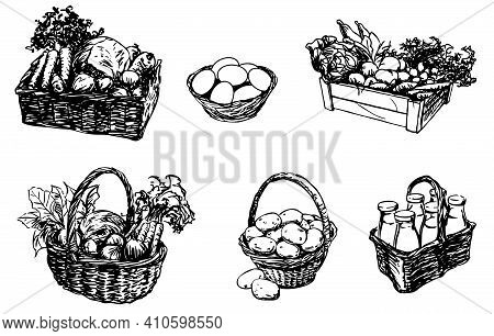 Farm Food In A Basket - Food, Set Of Hand-drawn Illustrations