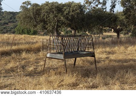 Cattle Feeder In The Field