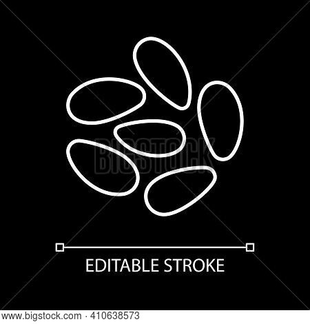 Pine Nuts White Linear Icon For Dark Theme. Sunflower Seeds, Kernels For Healthy Eating. Thin Line C