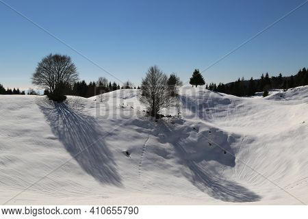 View Of The Landscape Near The Col Dei Scios In Friuli Venezia Giulia, Italy. High Quality Photo
