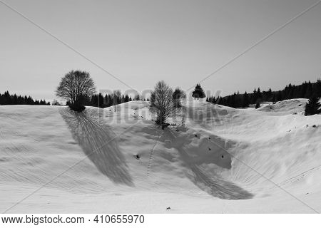 View Of The Landscape Near The Col Dei Scios In Friuli Venezia Giulia, Italy. High Quality Photo