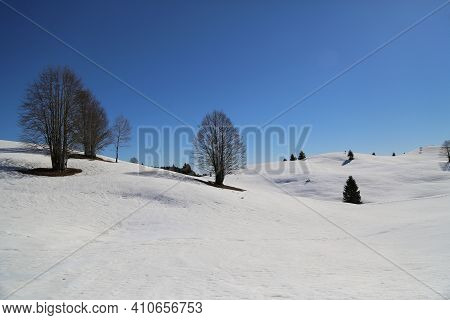 View Of The Landscape Near The Col Dei Scios In Friuli Venezia Giulia, Italy. High Quality Photo