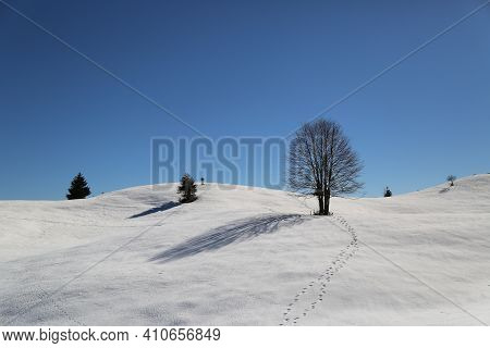 View Of The Landscape Near The Col Dei Scios In Friuli Venezia Giulia, Italy. High Quality Photo