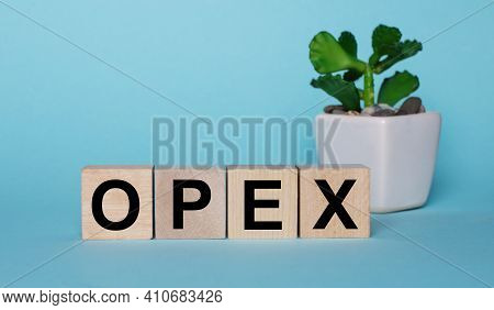 The Word Opex Operational Expenditures Is Written On Wooden Cubes Near A Flower In A Pot On A Light 