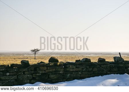 View At The Great Pastureland By Ottenby On The Island Oland In Sweden In Early Springtime