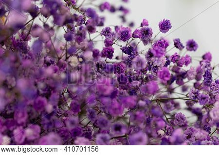 Beautiful Bouquet Of Lilacflowers. Dried Flowers. Lavender Or Verbena.